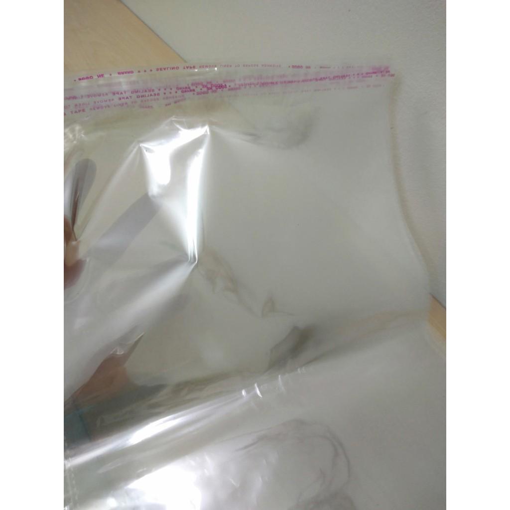 Túi bóng kính dán miệng OPP 25x33+4 cm (100g)