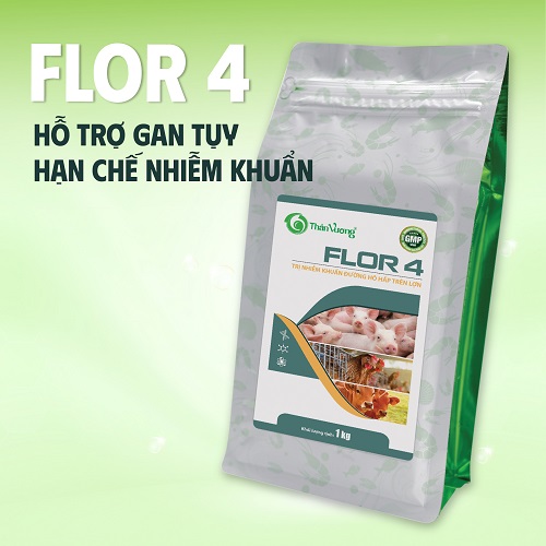 Kháng sinh đặc trị nhiễm trùng đường ruột FLOR 4