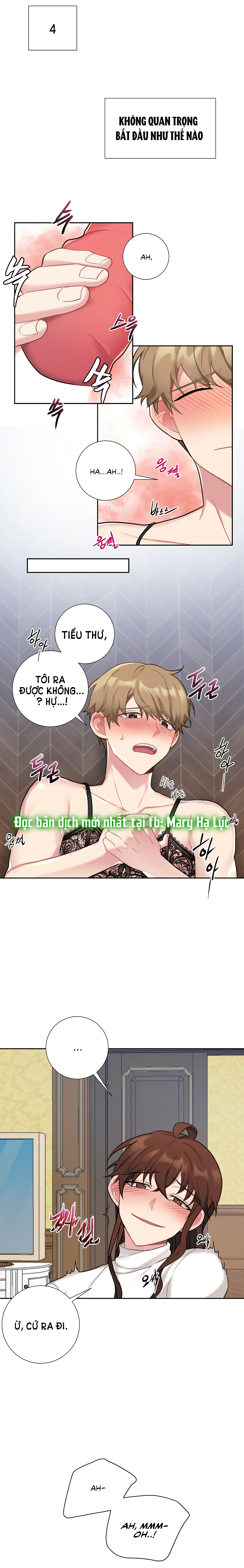 tiểu thư và dàn hầu nam mlem chapter 17 15