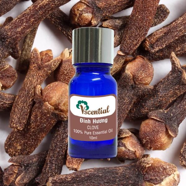 Vscential Tinh Dầu Đinh Hương 10ml