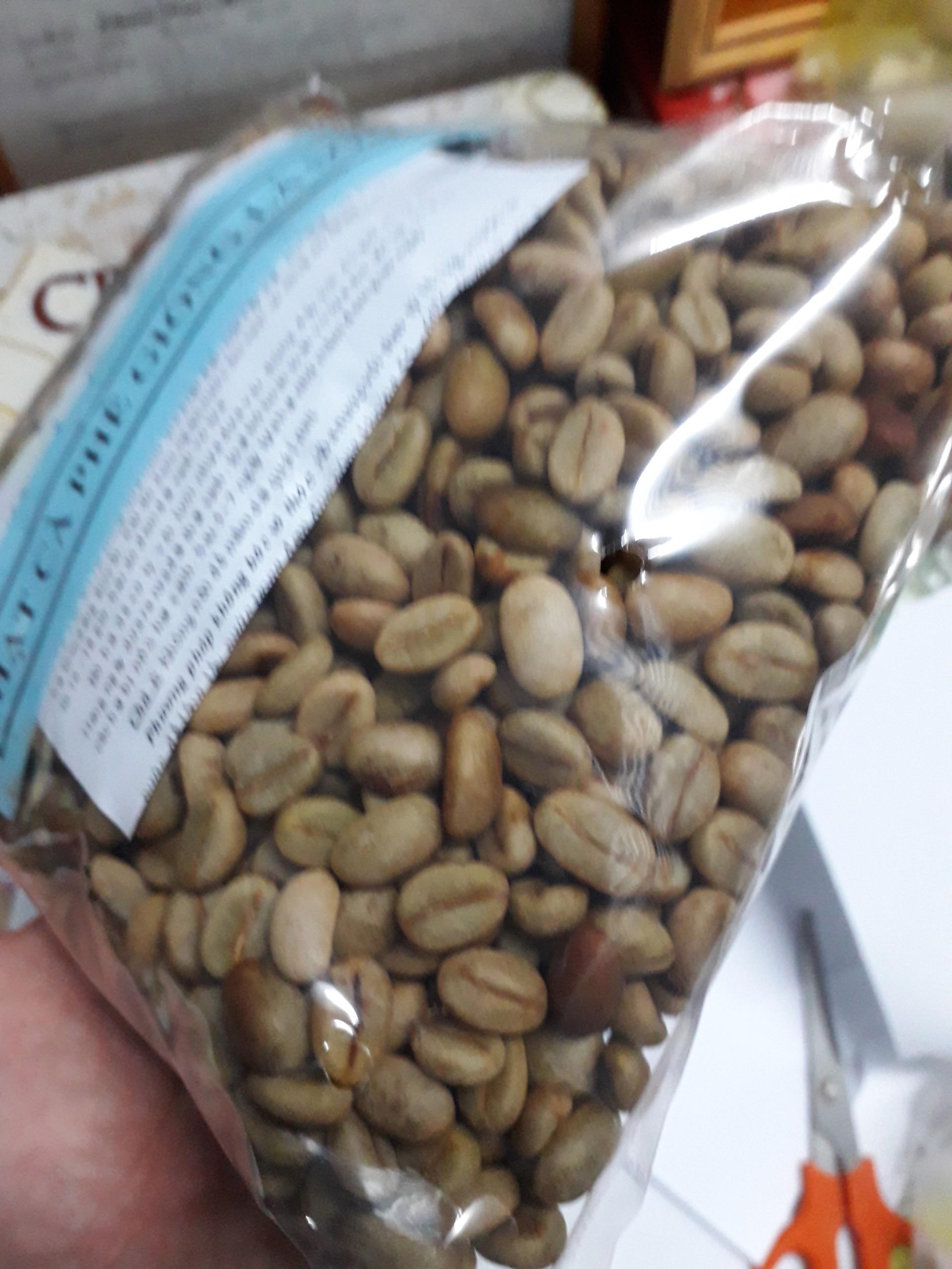 200 GRAM Hạt giống Cà Phê VỐI CAO SẢN Lá Xoài - HẠT TUYỂN CHỌN TỪ CÂY MẸ.