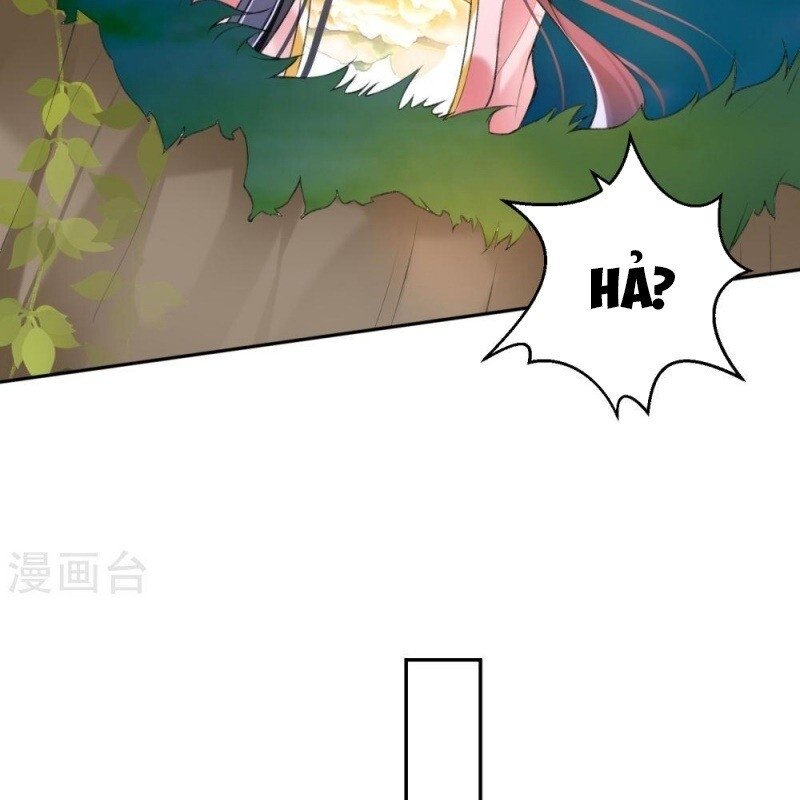 vương gia, áo lót của ngươi rơi mất rồi chapter 51 11