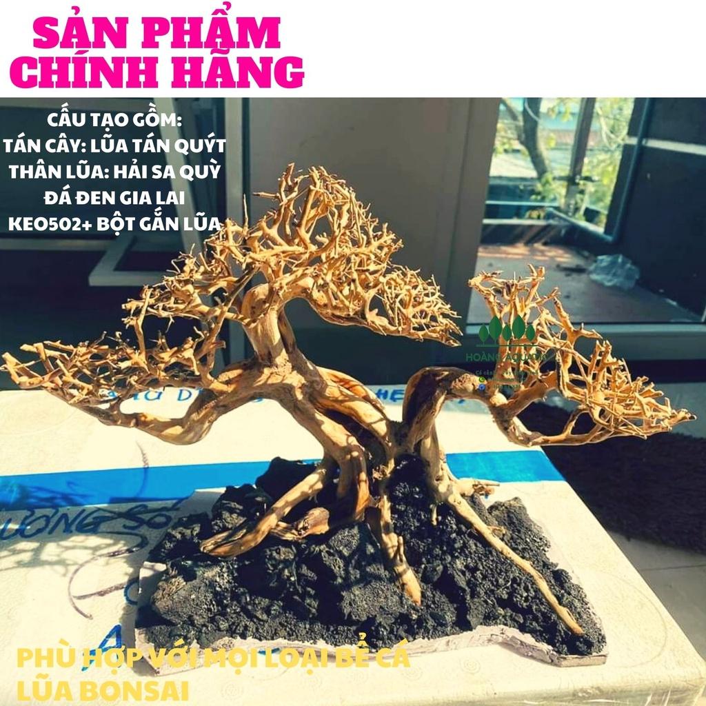 LŨA XƯƠNG CHÙM, TÁN QUÝT, TÁN ĐẸP, DÙNG SETUP TÁN CÂY BONSAI, HỒ CÁ THUỶ SINH