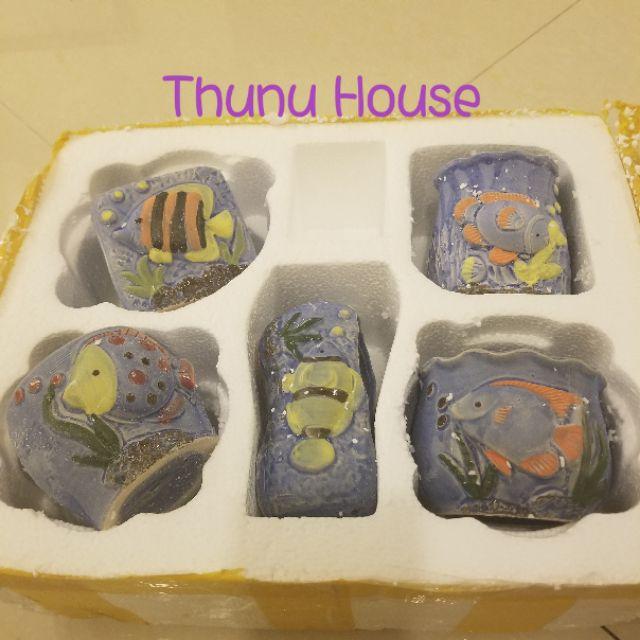 5 Chậu hình cá mini