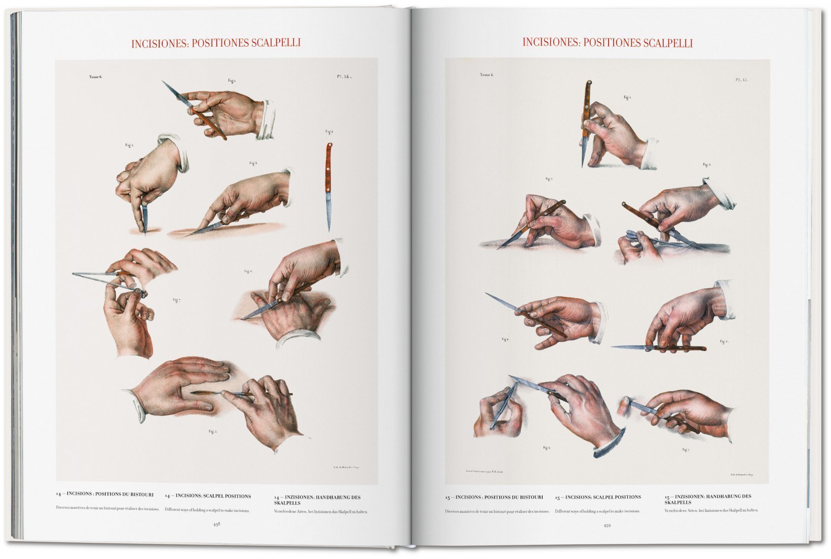 Artbook - Sách Tiếng Anh - Atlas of Human Anatomy and Surgery