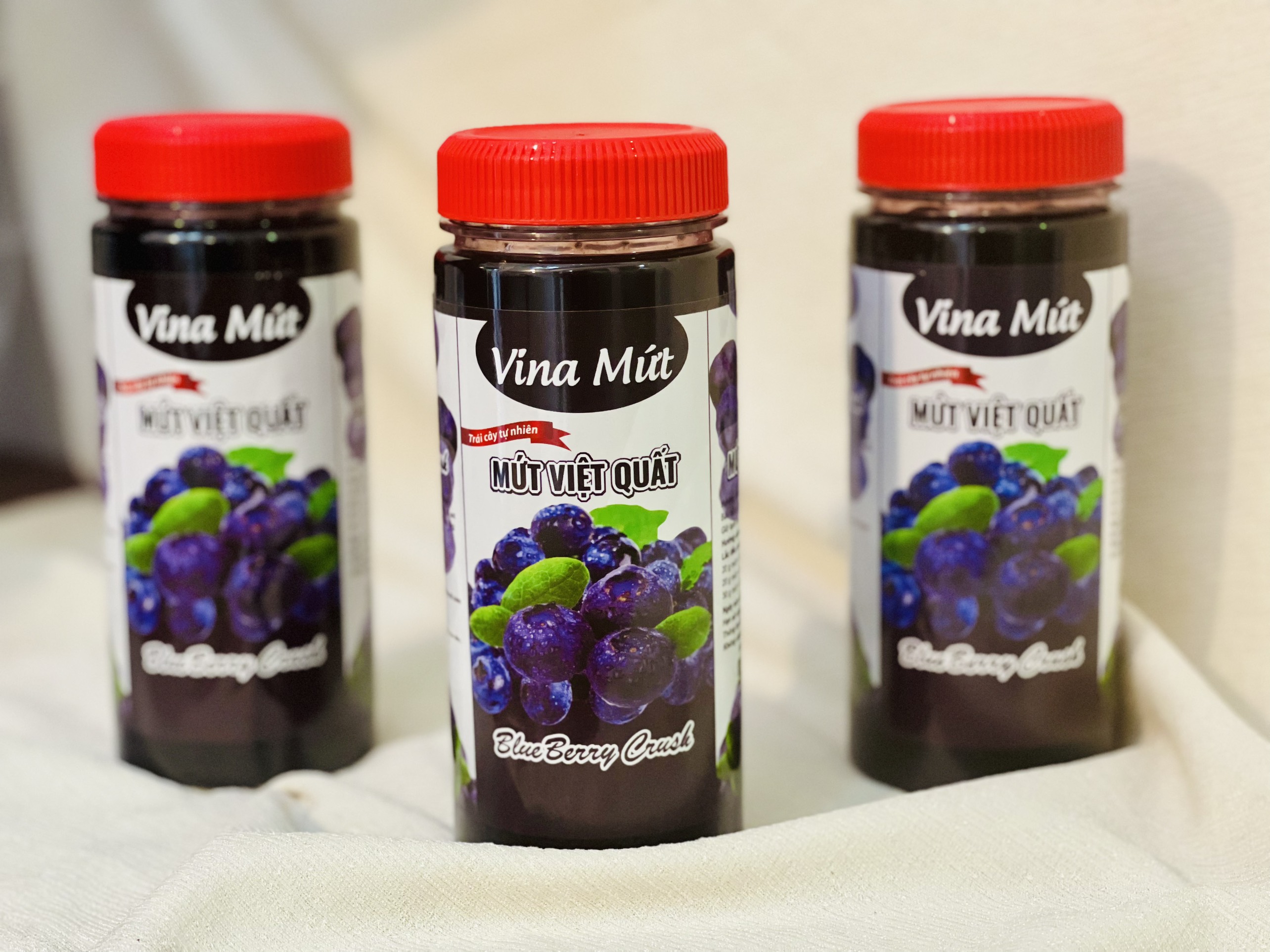 Sinh tố Vina Việt Quất 650g