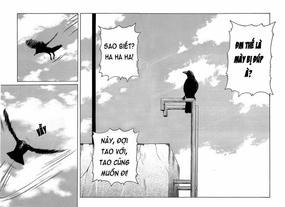 crows chapter 95 52