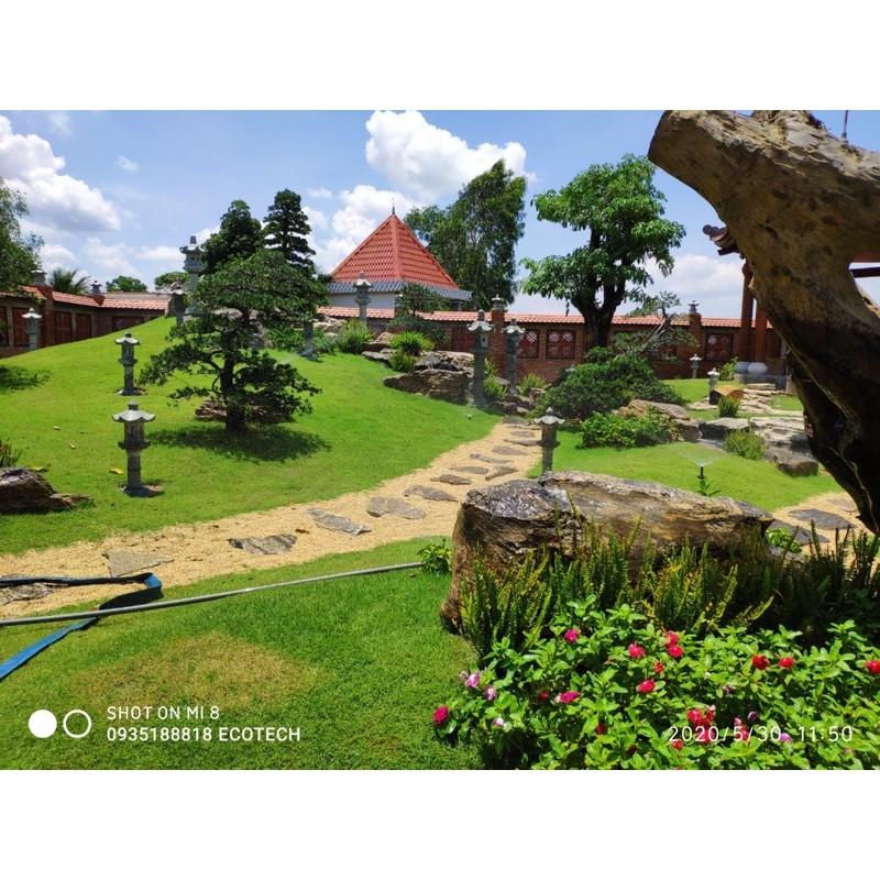 Đầu phun popup tưới sân vườn