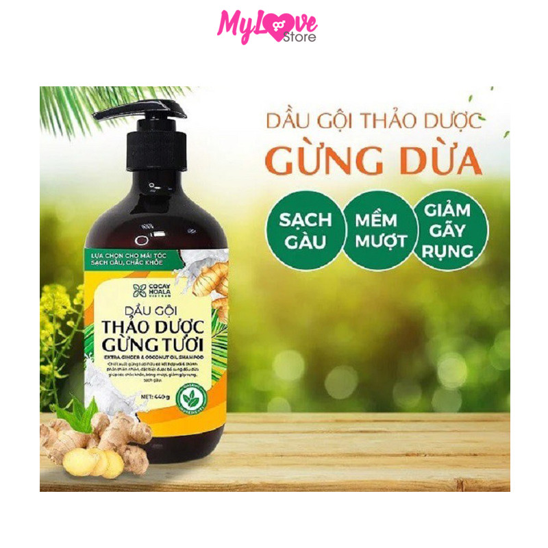 Dầu Gội Gừng Dừa Hữu Cơ Cocayhoala Ngăn Rụng Tóc Kích Thích Mọc Tóc - Giảm Gàu - Ngừa Cảm Lạnh  -Dưỡng Tóc Mềm Mượt Chắc Khỏe, Chai 440g