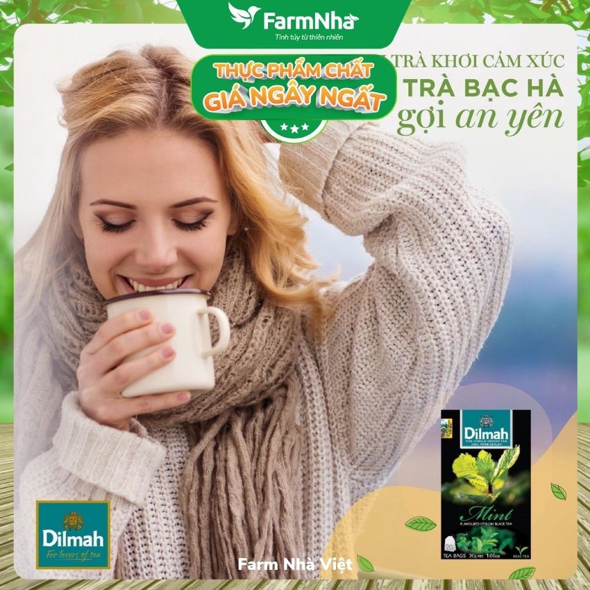 Trà Dilmah Mint túi lọc 30g 20 túi x 1.5g - Tinh hoa trà Sri Lanka