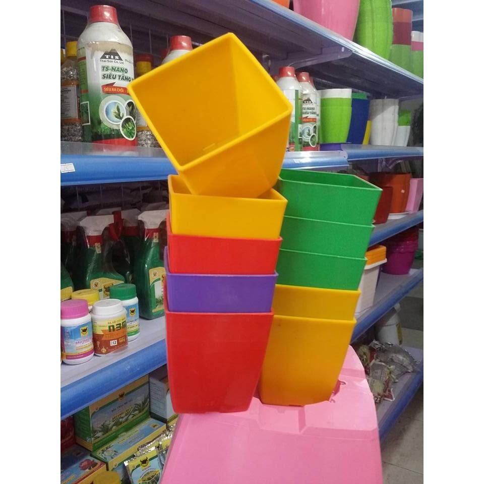 Combo 20 chậu vuông v9