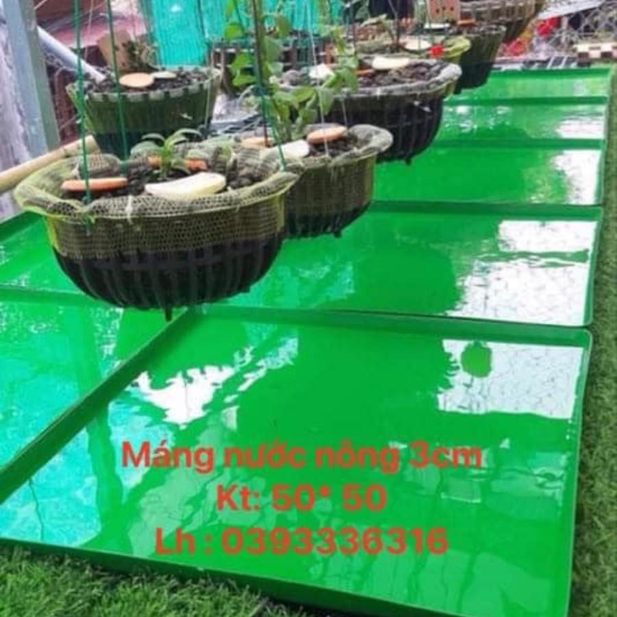 10 Khay Đựng Nước KT 50 X 50 Sâu 3cm Làm Mát Cho Lan - Máng vữa - Máng Đựng Nước - Khay nhựa Sông Hồng