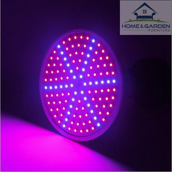 Đèn led trồng cây trong nhà, led trồng cây công nghiệp và hộ gia đình công suất 6W siêu hot mới 2018