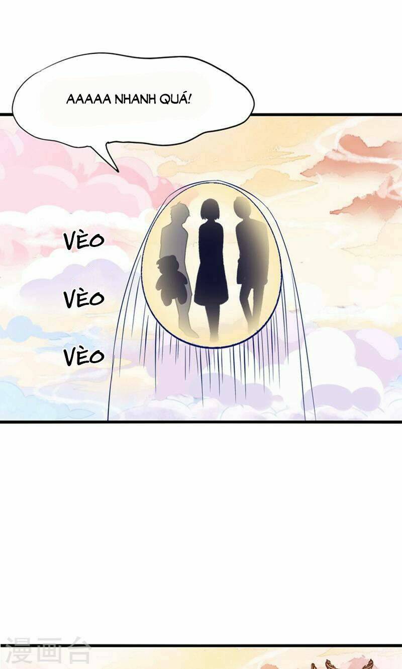 tôi bị gấu trúc nhìn trúng rồi chapter 25 14