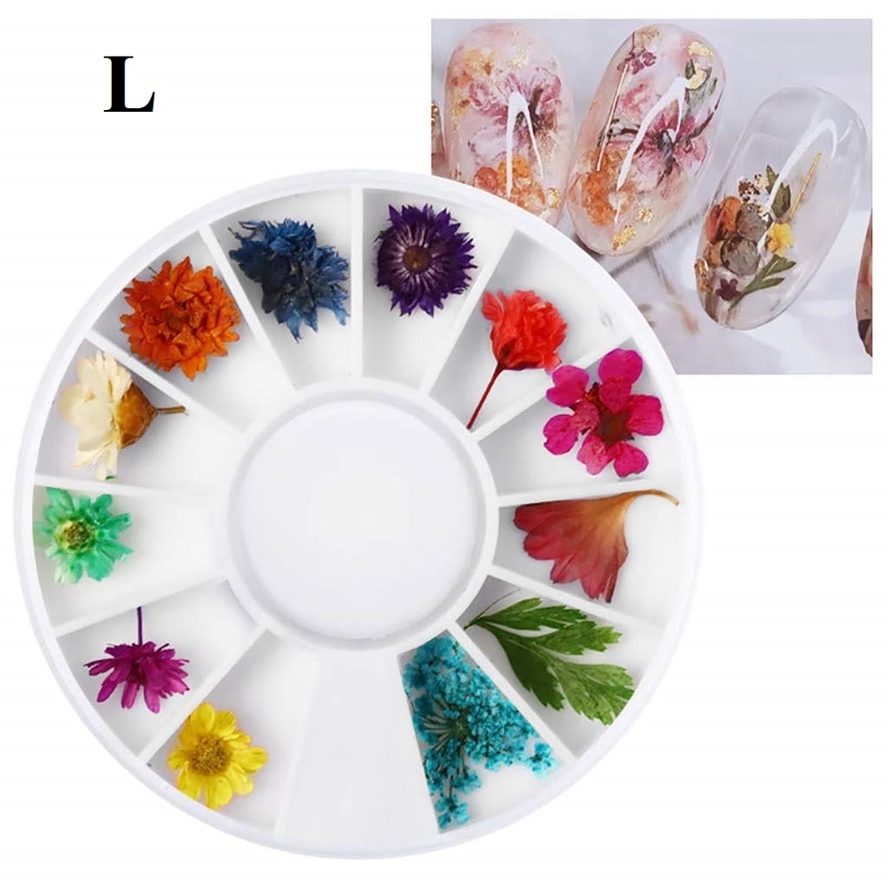 Set Hoa Khô Trang Trí Nail Hỗn Hợp Khay Tròn Đa Dạng Kiểu Dáng kích thước, Đính, Có Thể Kết Hợp Nhiều Phong Cách Ý Tưởng Khác Nhau