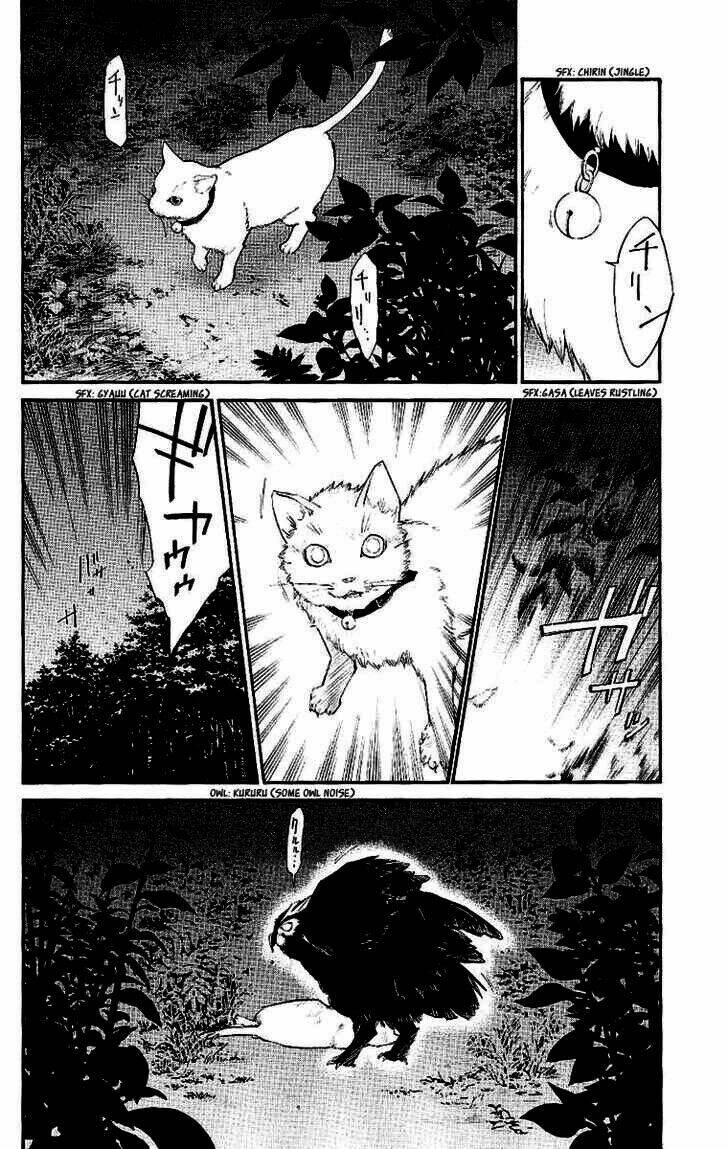 alive - the final evolution chapter 19 6