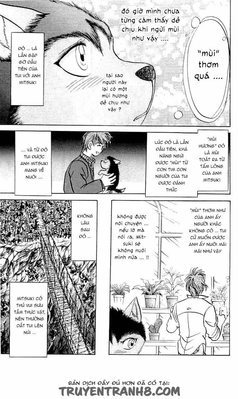 wild half chapter 6 7