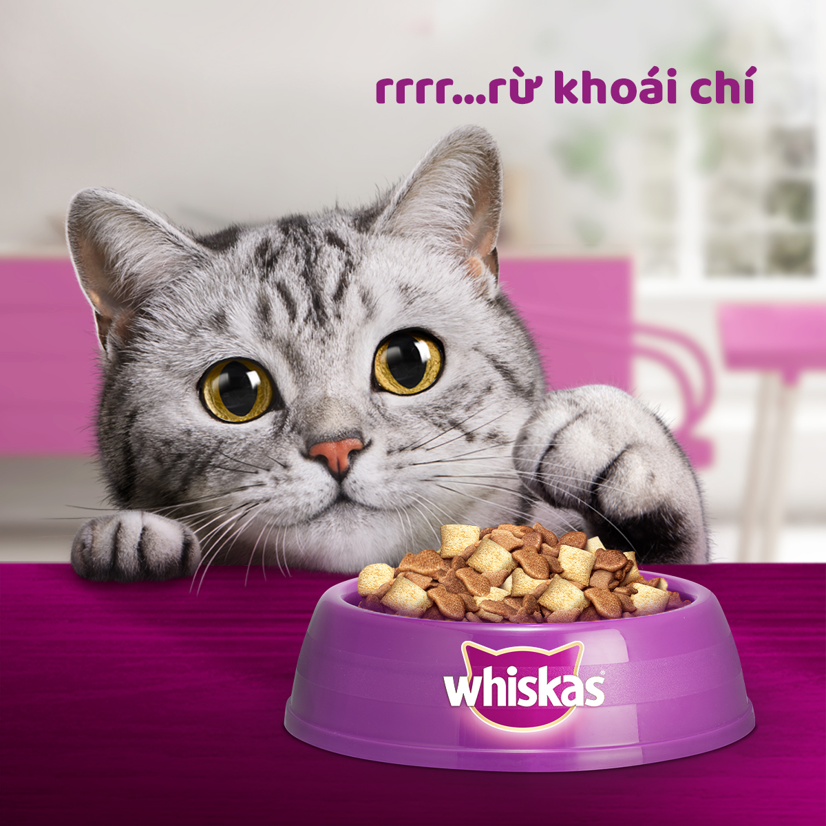 WHISKAS Thức ăn cho mèo con dạng hạt vị cá thu 450g