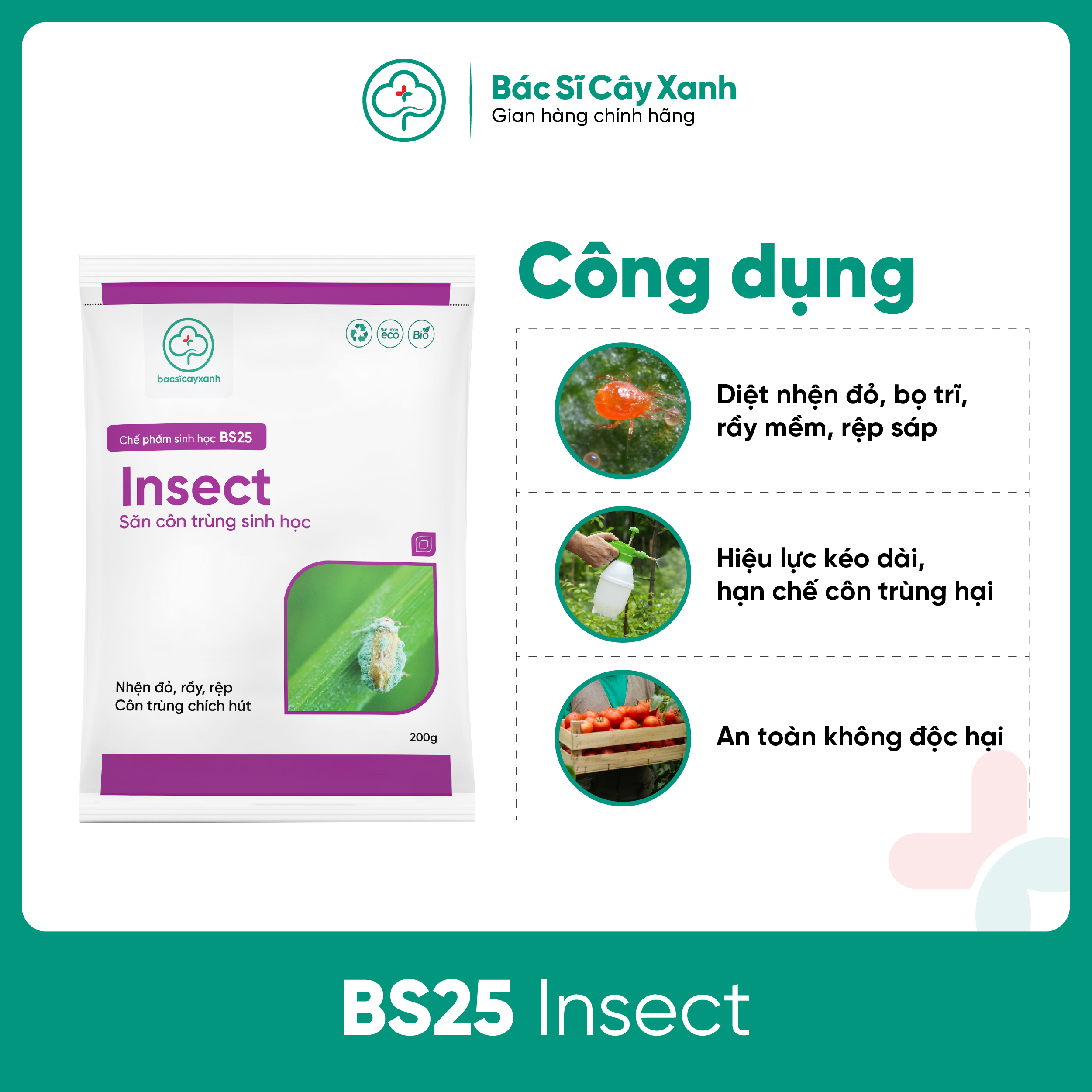 Thuốc diệt nhện đỏ, rầy, rệp, côn trùng hút chích An toàn sức khoẻ BS25 Insect 100/200g NSX Bacsicayxanh