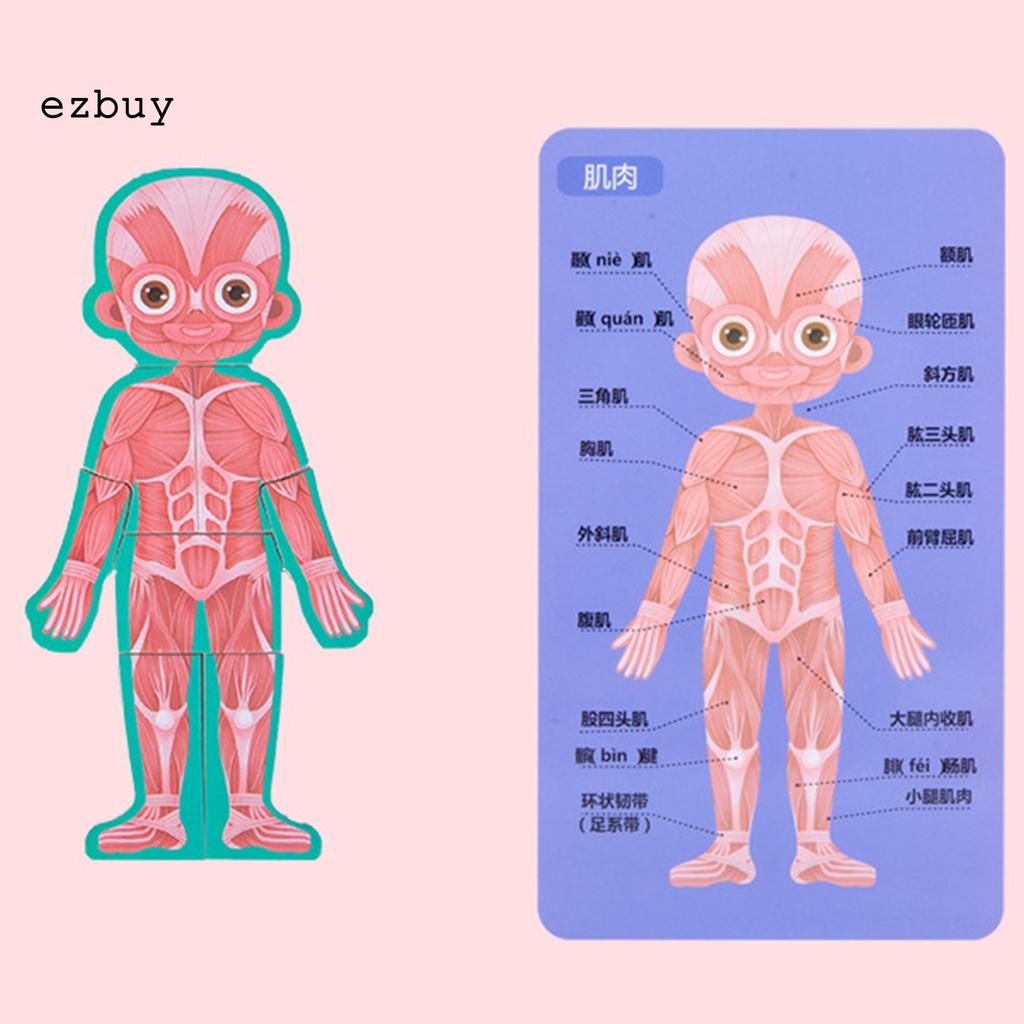 Bộ đồ chơi giáo dục phát triển trí thông minh cho trẻ em