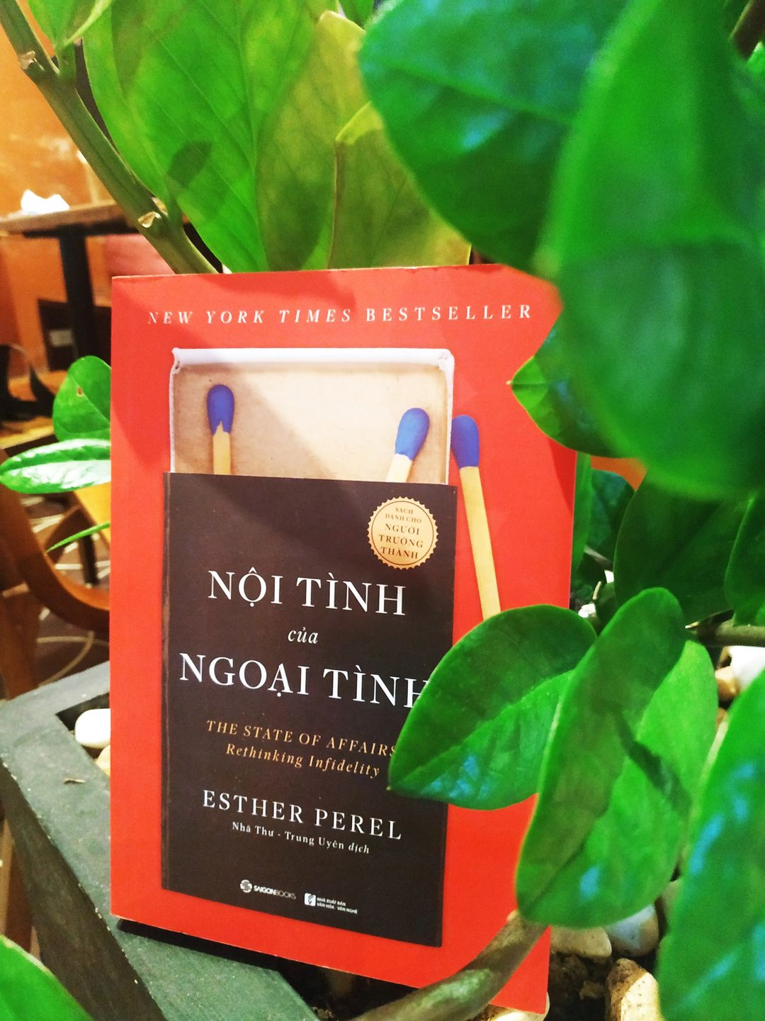 Nội tình của ngoại tình - Tác giả: Esther Perel - KHÔNG NÊN ÁP ĐẶT CẢM XÚC