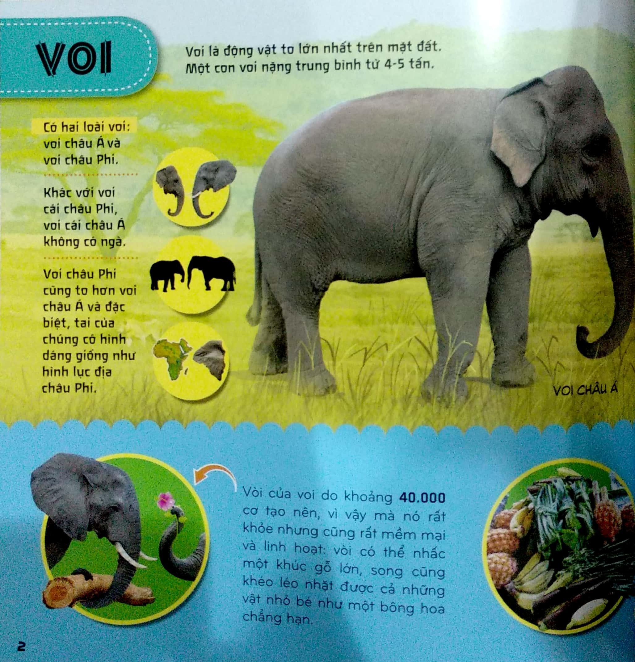 Bí Ẩn Thế Giới Loài Vật - Thú (Tái Bản 2024)