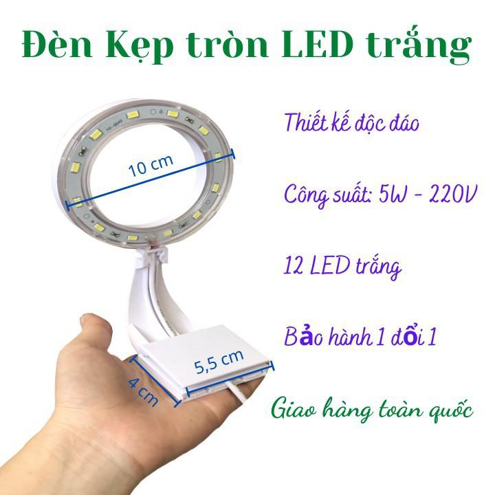 Bể cá mini để bàn CUBIC 25 COMBO HỒ LỌC ĐÈN Tặng phụ kiện trang trí