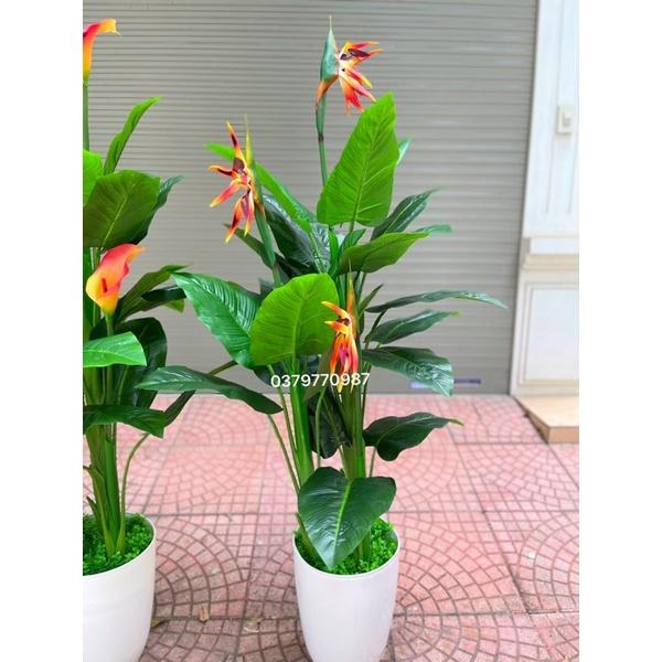 Cây hồng môn 150cm - 3 nhánh, ảnh thật do shop chụp. Cây giả decor trang trí nhà cửa nội thất phòng khách phòng ngủ