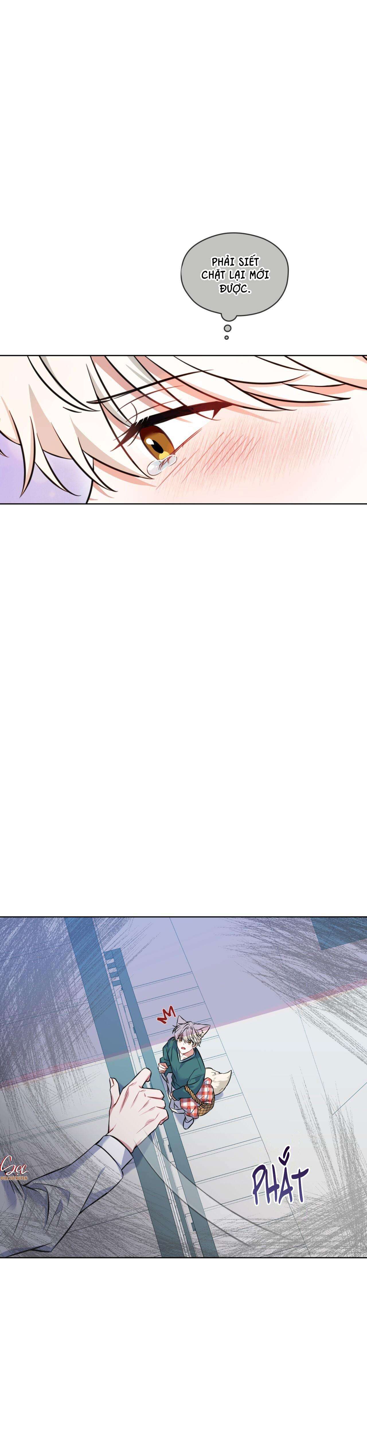 nước uống tình yêu của cáo plin chapter 2 17