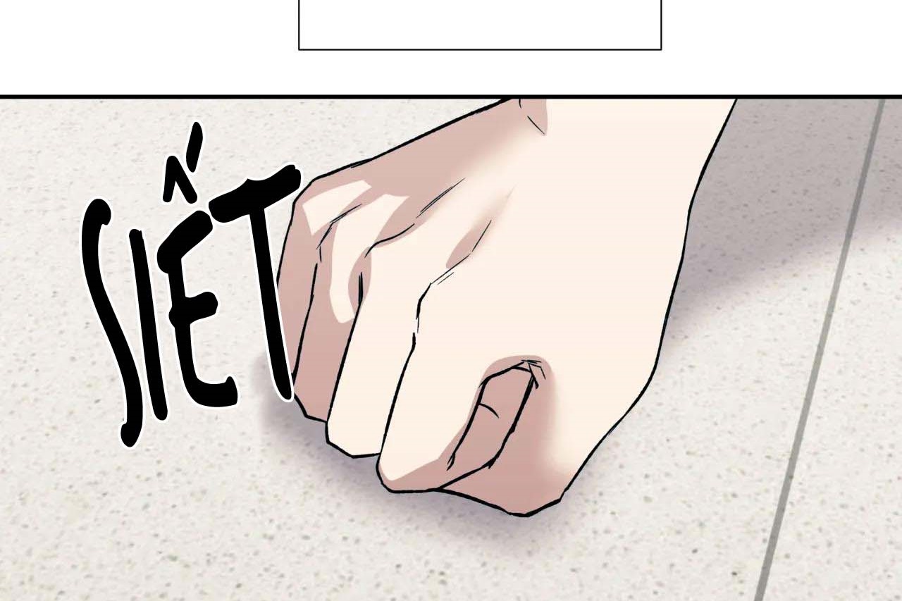 ám ảnh pheromone chapter 56 26