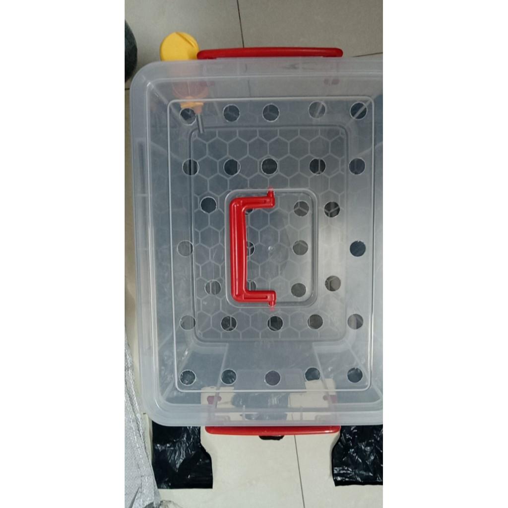 Hộp Indo đại 25,4 lít thiết kế nuôi thú cưng