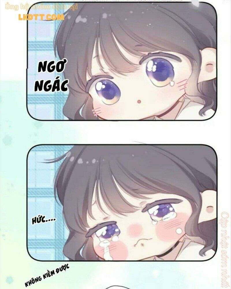 bảo vệ siêu sao của tôi chapter 134 35