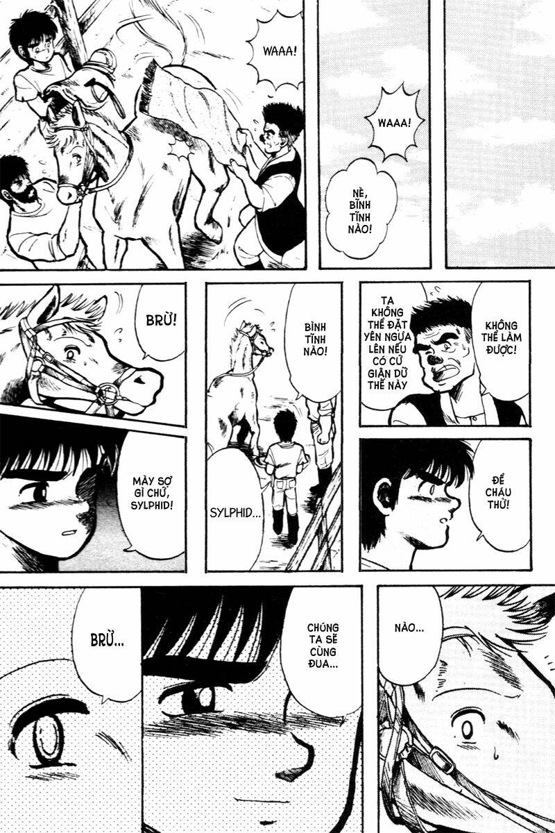 kaze no sylphid - phong mã silphid chapter 10 7