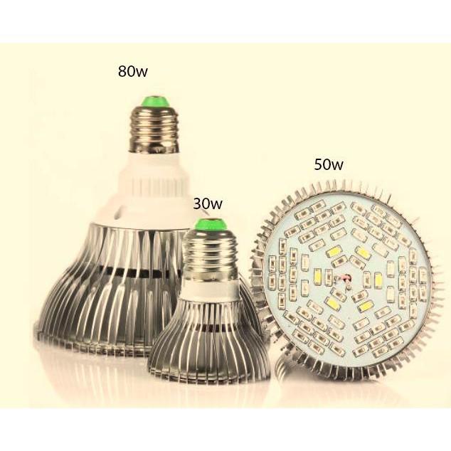 Led trồng cây Skylife