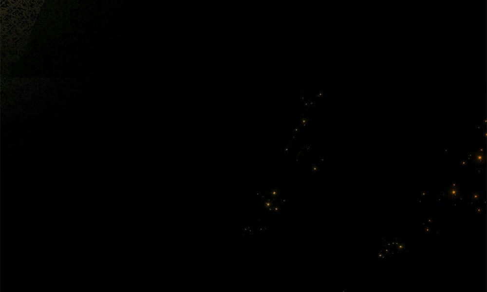 đăng tiêu hoa chapter 14 16