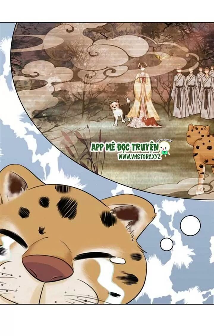 cực phẩm phế vật tiểu thư chapter 61 4