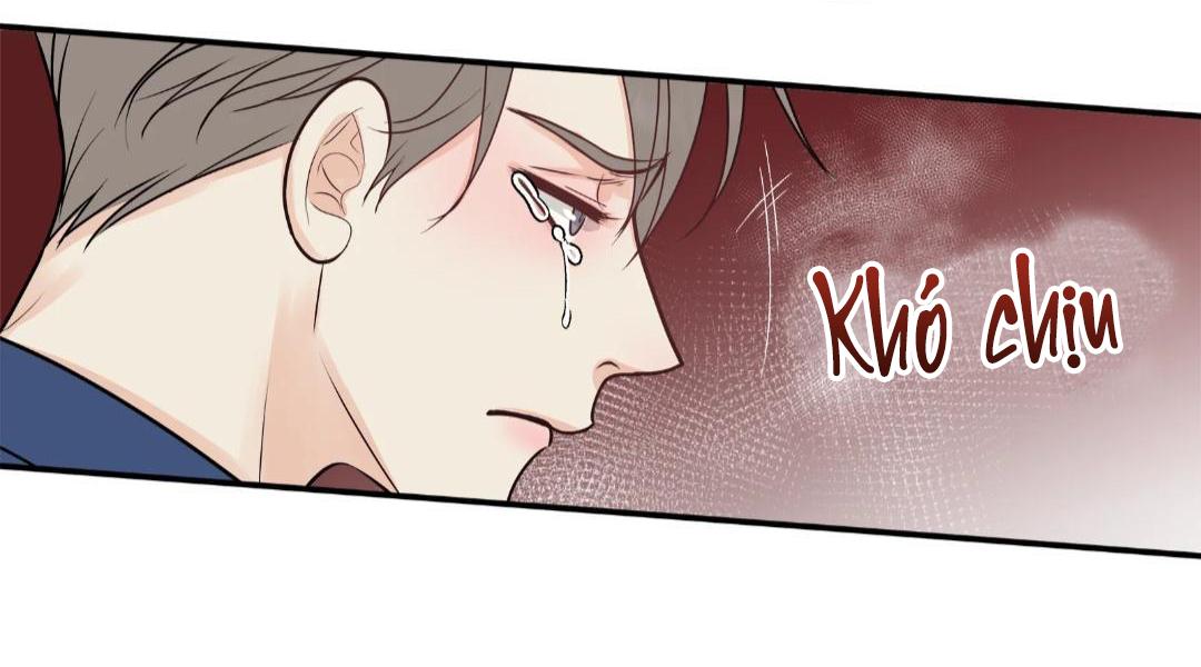 hạnh phúc trọn vẹn chapter 25 40