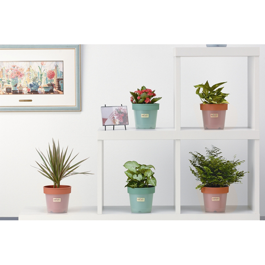 Combo Chậu Trồng Cây Nhựa 2 Lớp Bền Nhẹ Màu Nâu + Dụng Cụ Hỗ Trợ Xới Đất - Nội Địa Nhật Bản