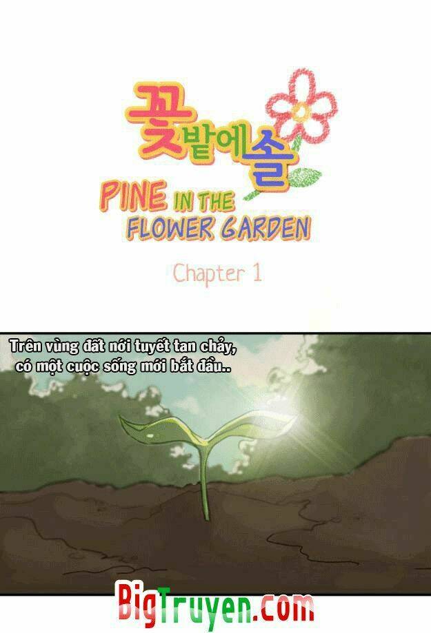 pine in the flower garden chapter 1 9