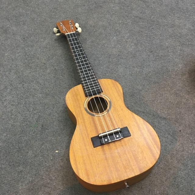 UKULELE CONCERT VIỀN TRÒN MỚI VỀ