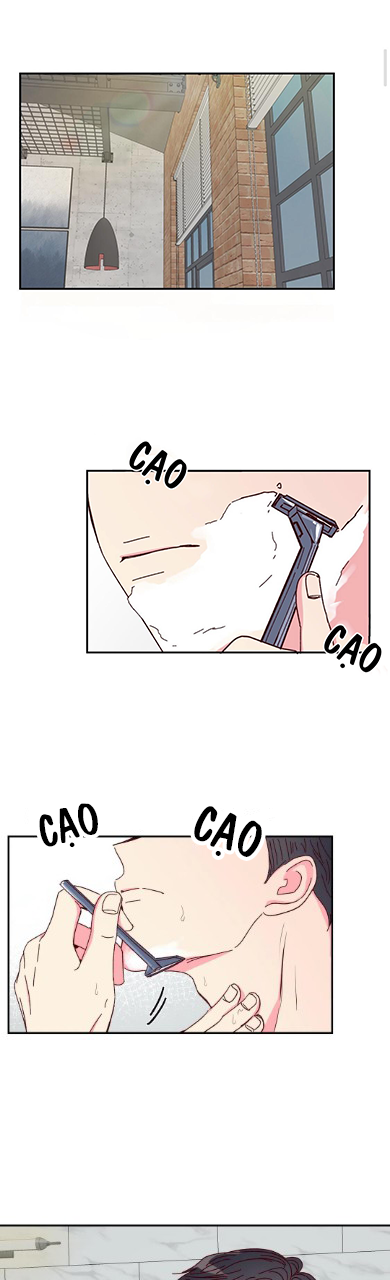 món tráng miệng của sếp tổng chapter 5 1