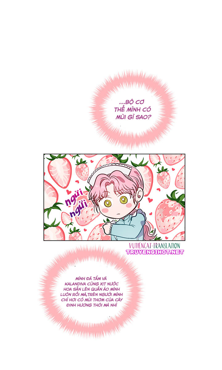 elizabeth chapter 28 34