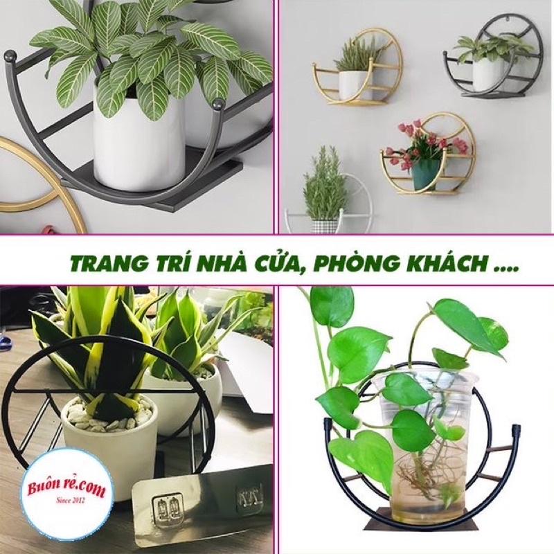 Giá treo cây cảnh dán tường hình tròn xinh xắn - Giá treo chậu hoa ở ban công 01423