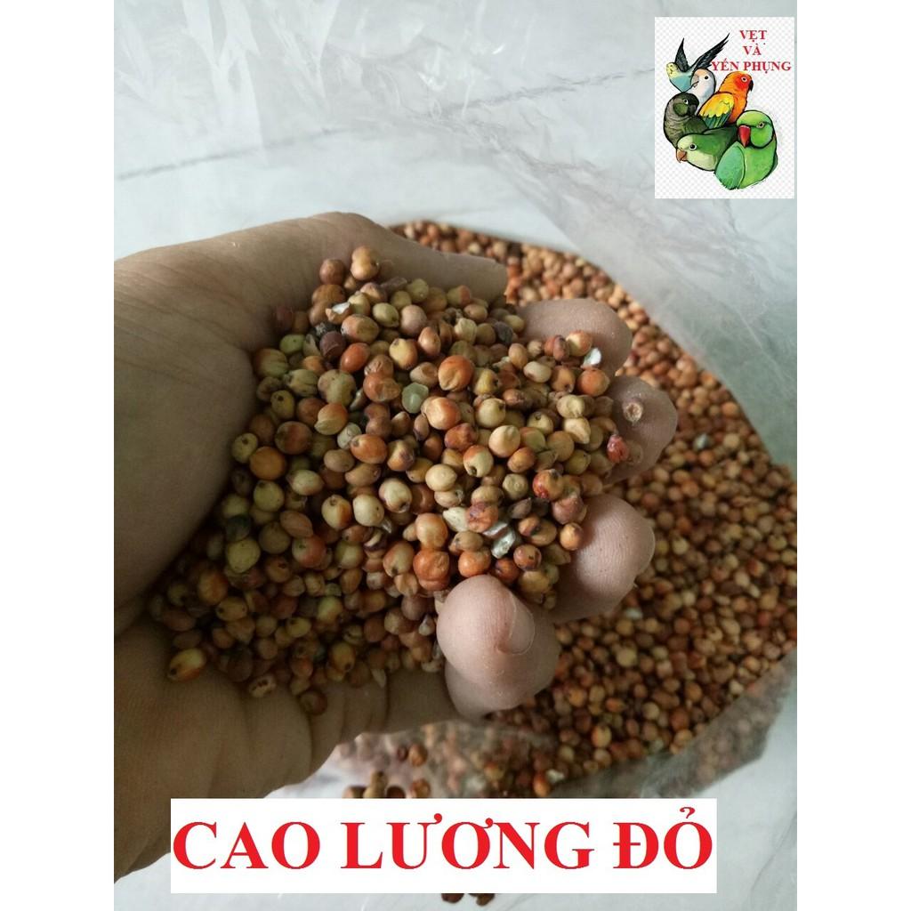 2KG HẠT TRỘN (TỔNG HỢP) DÀNH CHO SUN CORUNES, GREEN CHEEK, GREEN NECK, XÍCH