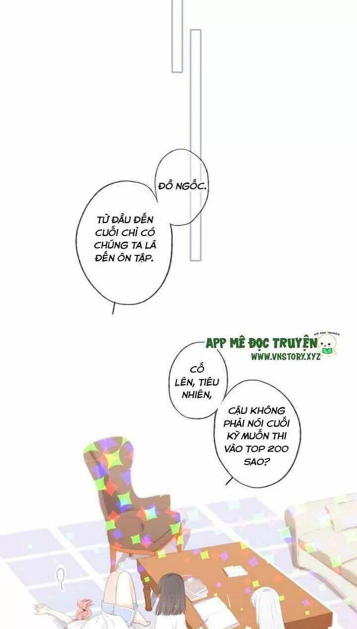 con tim rung động 2 chapter 177.3 16