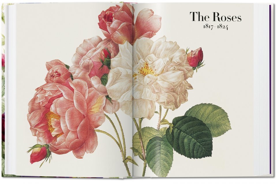 The Book of Flowers. 40th Ed.