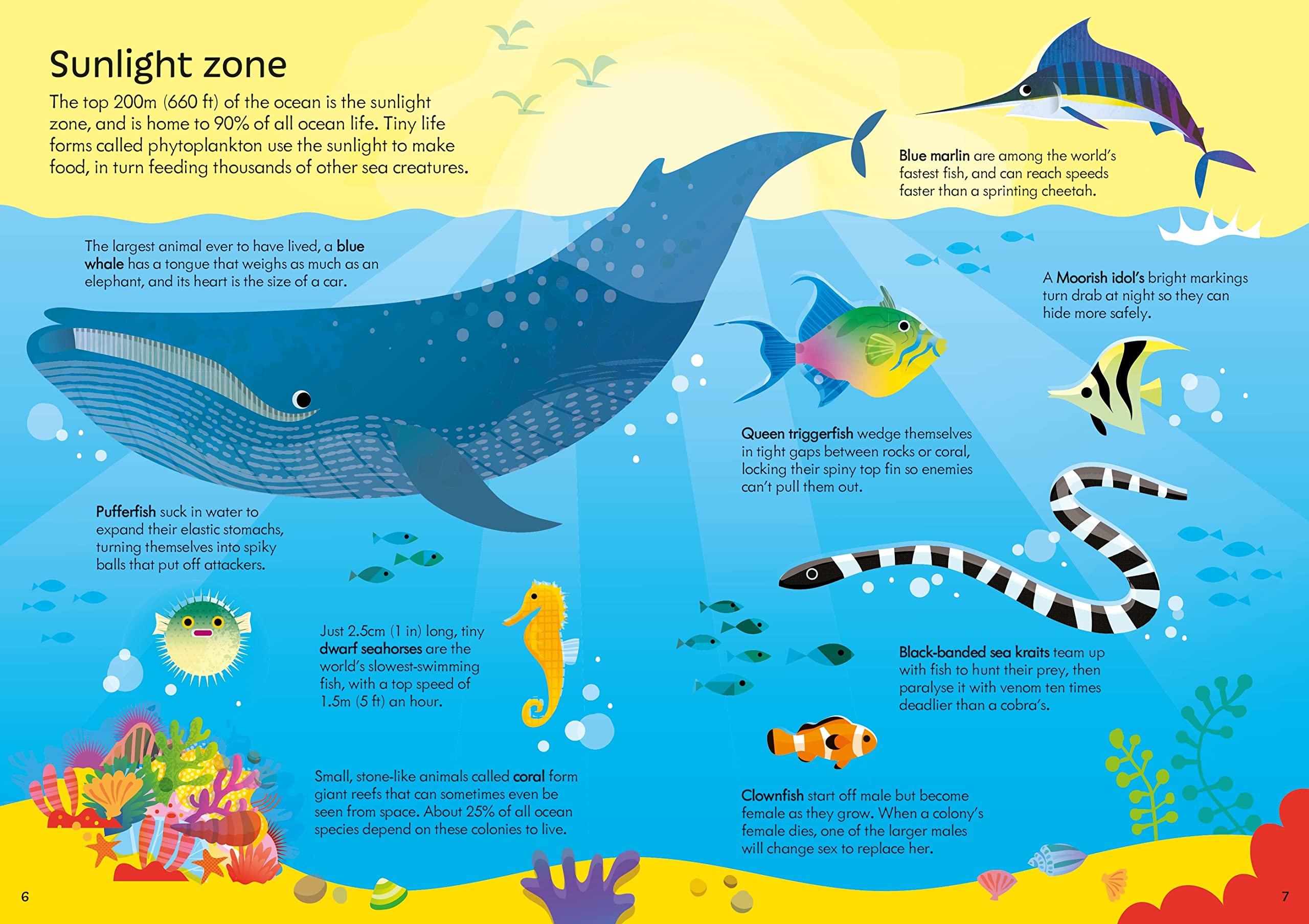 Sách ngoại văn: Usborne Book And Jigsaw Oceans