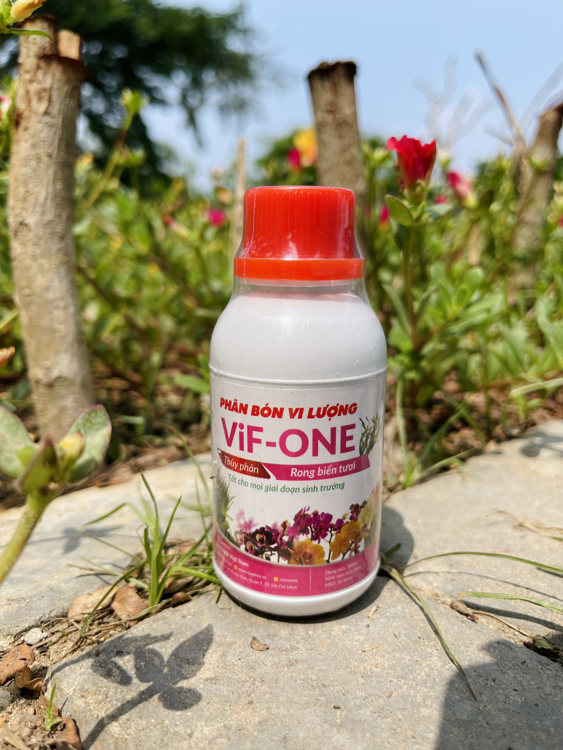 Phân bón vi lượng  Vif-one rong biển 100ml