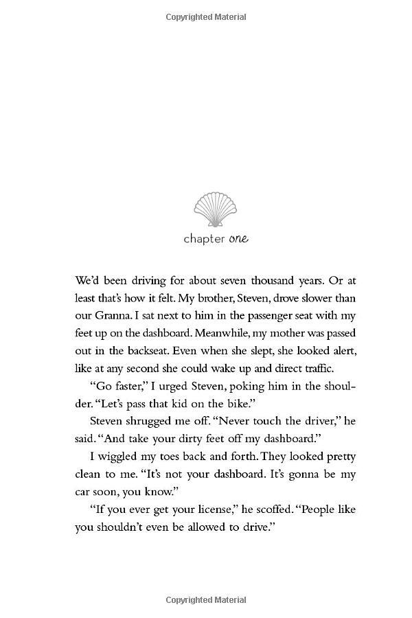 Summer I Turned Pretty Book 1