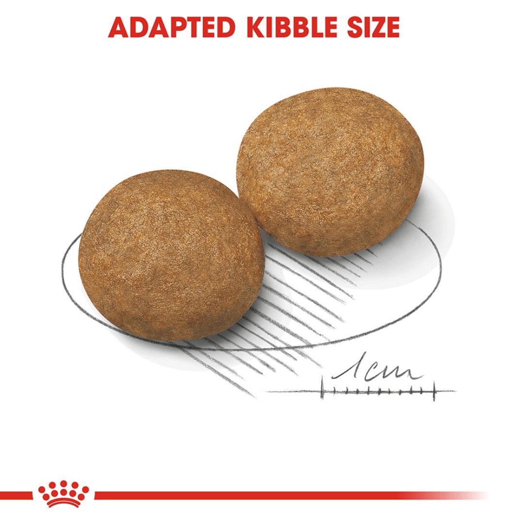 Thức Ăn Cho Chó Royal Canin Medium Adult 1Kg